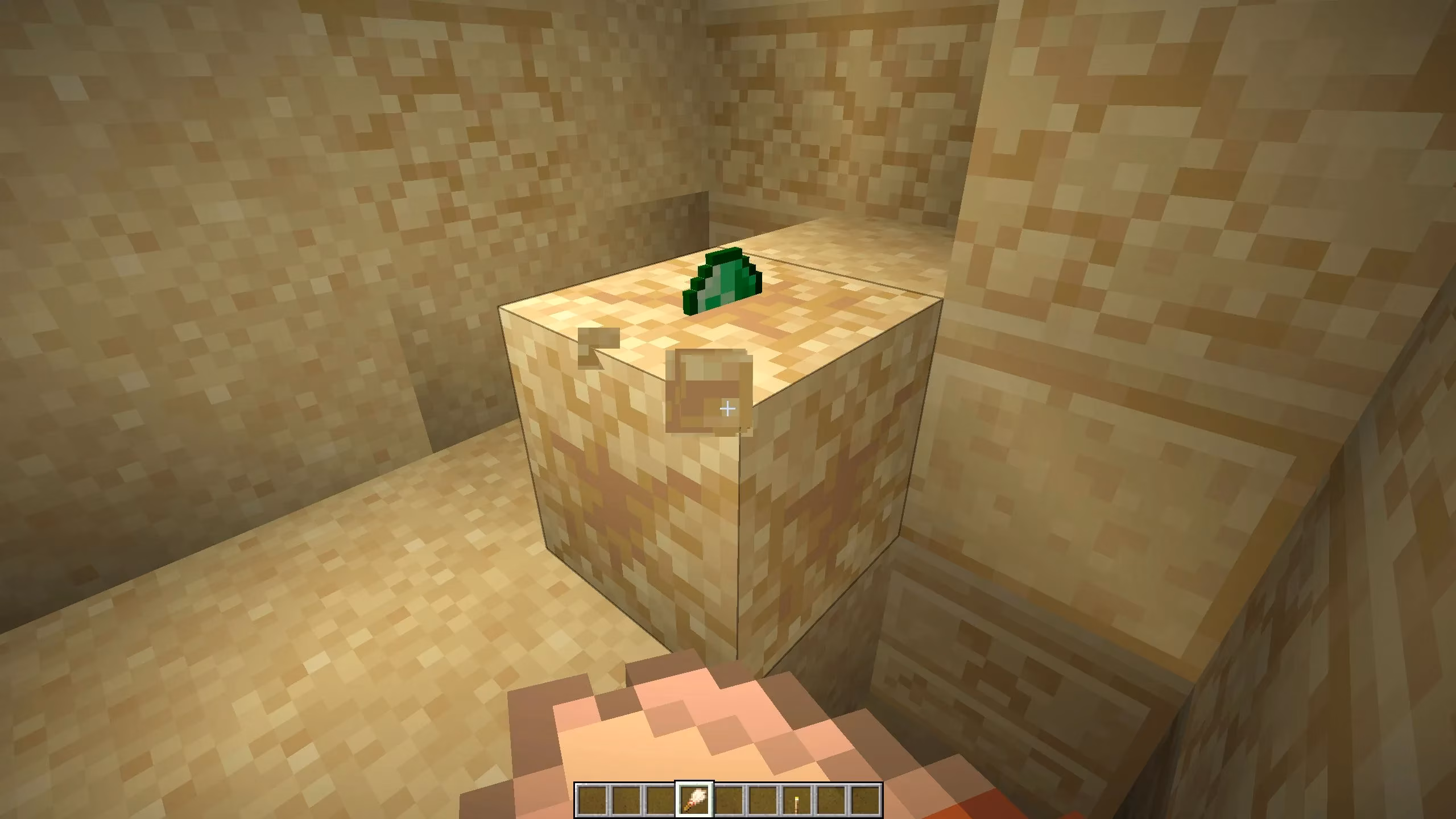 brush-up-buttercup-my-2026-minecraft-archaeology-adventure-image-2