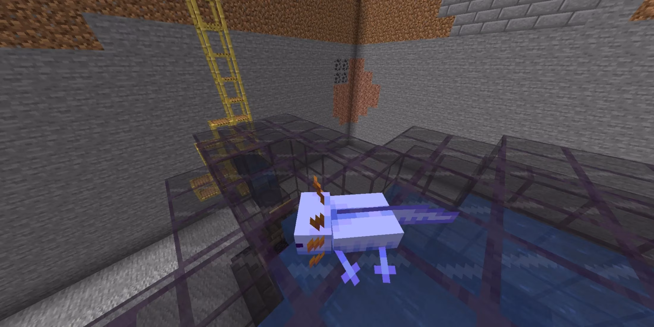 chasing-shadows-the-rarest-minecraft-mob-variants-in-2026-image-5