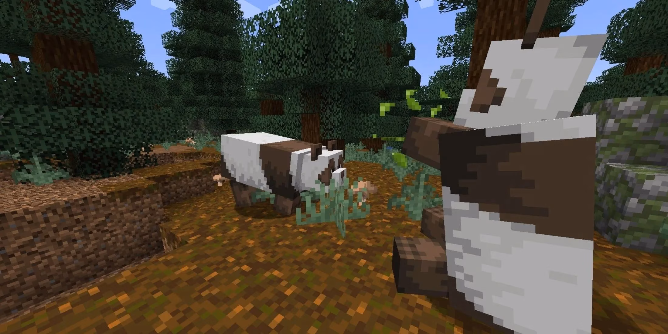 chasing-shadows-the-rarest-minecraft-mob-variants-in-2026-image-3